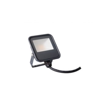 Naświetlacz IQ-LED FL 10W 1200LM 4000K NW, 33880 - Kanlux