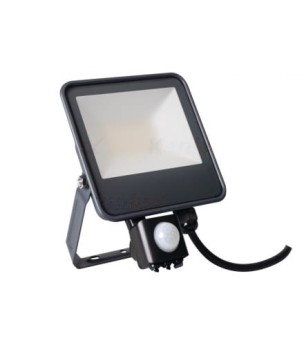 Naświetlacz IQ-LED FL 10W PIR 1200LM 4000K NW, 33885 - Kanlux