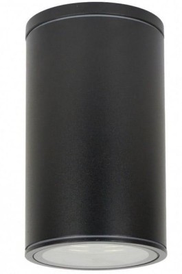 pol_pl_Lampa-sufitowa-czarna-elewacyjna-ADELA-E27-60W-7003-BL-84073_1.jpg
