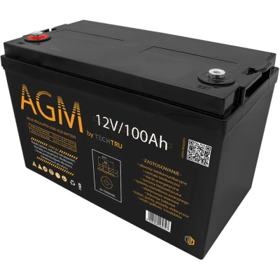 pol_pl_Akumulator-Techtru-AGM-12-100-12-V-100-Ah-17394_2.jpg