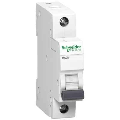 PB110016_1500x1500.JPG