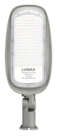 Lampa uliczna RX 100W 11000LM 6000K IP65, LU100RX - LUMAX