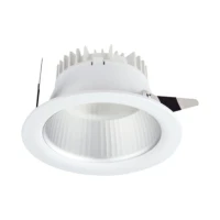 Oprawa LED LUGSTAR SPOT LB LED P/T ED 20600LM/840 IP44