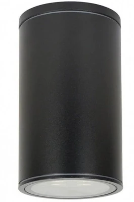 pol_pl_Lampa-sufitowa-czarna-elewacyjna-ADELA-E27-60W-7003-BL-84073_1.jpg